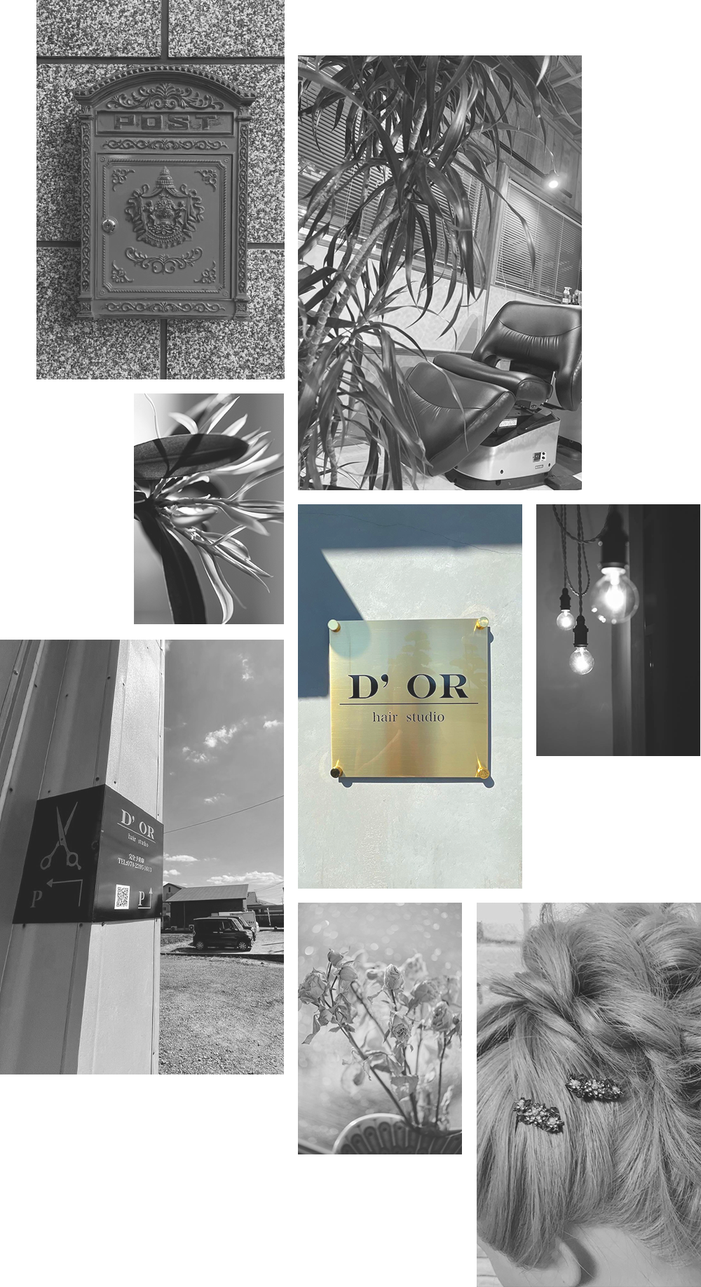 D’OR hair studio